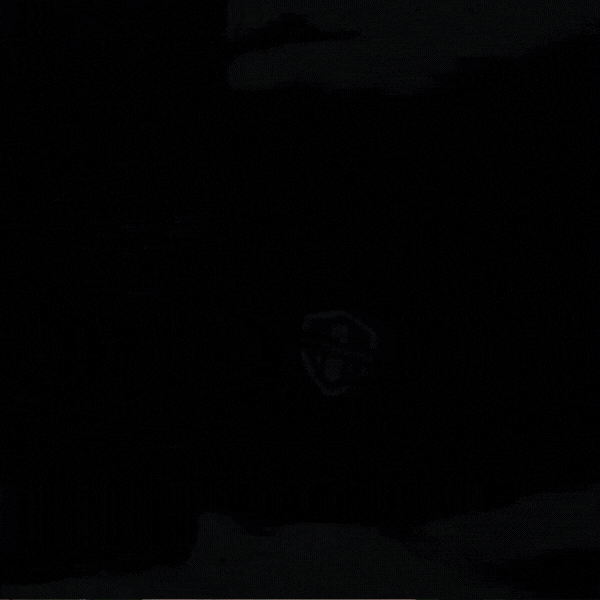 Proguard scheendekkers